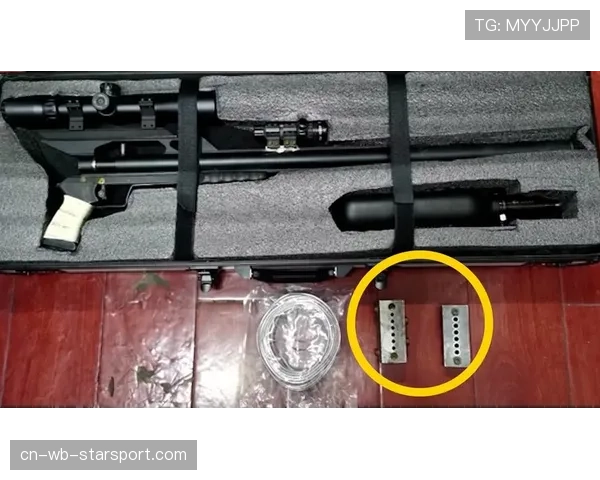 射击靶场的子弹回收系统：铅弹的环保处理，铅弹弹匣